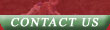 Contact with ClubdePoloPilarChico.com