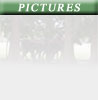 PilarChico pictures