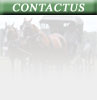 Contact PilarChico