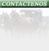 Contctese con PilarChico