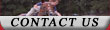 Contact ClubdePoloPilarChico.com
